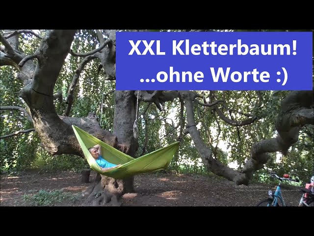 Hängematte im XXL Kletterbaum - ohne Worte abhängen - Villa Fohrde