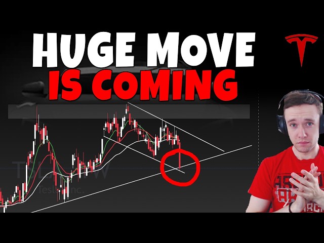 Stock Technical Analysis on TSLA, SPCX, PLTR, HOOD, MU, NBIS, RKLB, ASTS