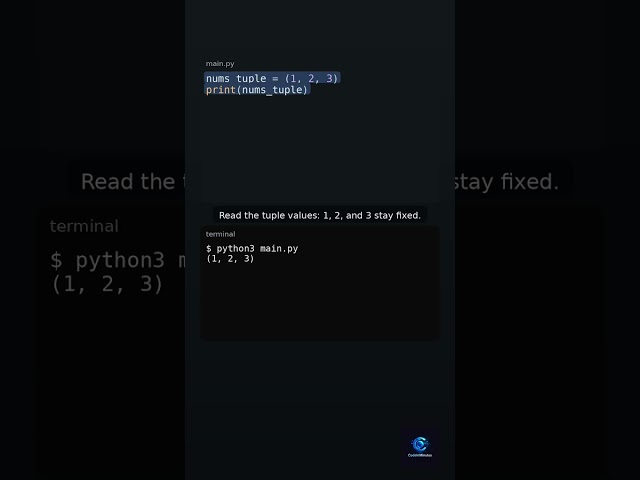 Python tuple vs list immutability