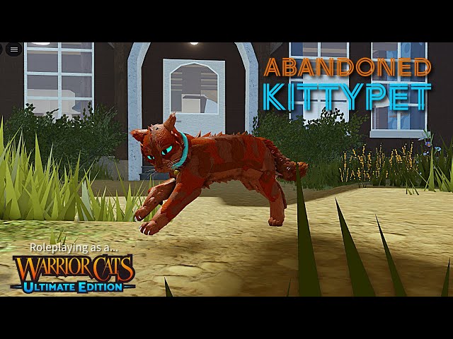 Roleplaying as an Abandoned Kittypet | Warrior Cats; Ultimate Edition