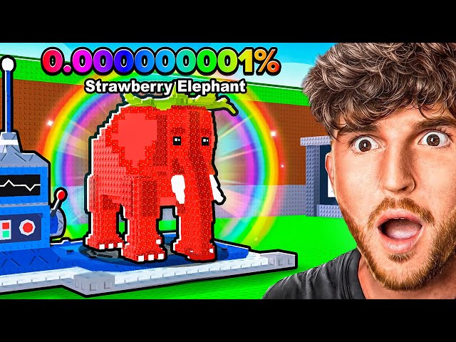 Spending $921,340,867 on the RNG MACHINE..