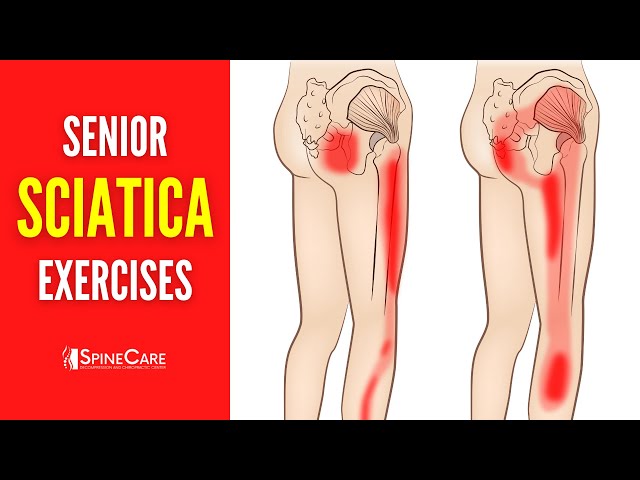 EASY Sciatica Pain Relief Exercises for Seniors