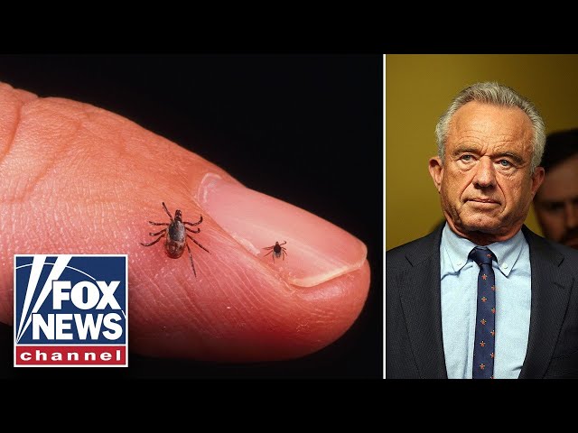 HHS SOUNDS ALARM as Lyme disease cases SURGE nationwide