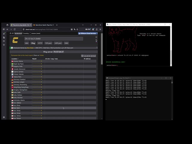 MIRO C2 | LAYER 4 SHOWCASE
