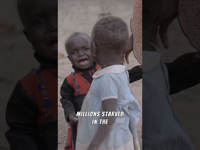 The Real Story Behind Winston Churchill’s Darkest Decision 🕯️ #history #unearthedsecrets