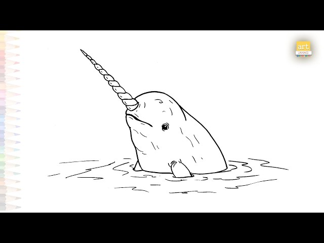 Narwhal swimming drawing easy | Outline art tutorial | How to draw A Narwhal step by step #artjanag