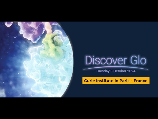 Discover Glo 2024
