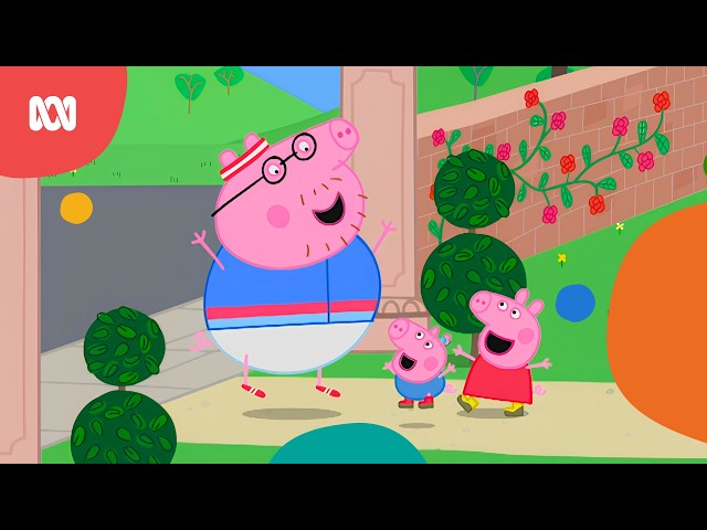 Run daddy run 🏃‍♂️🐽 | Peppa Pig | ABC Kids