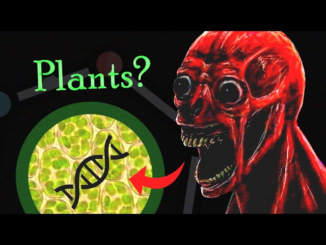 The Complex Biology Of Vita Carnis
