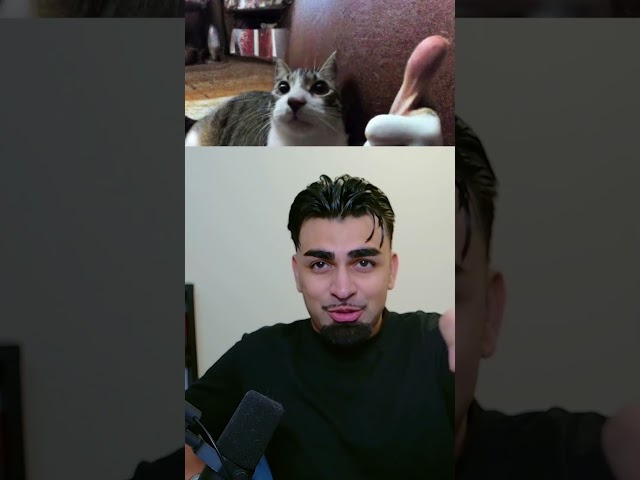 Which Of My Subscribers Has The Most Subscribers 🤔