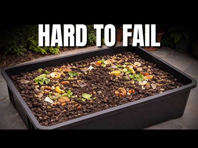How to Start a Worm Bin That Doesn’t Crash