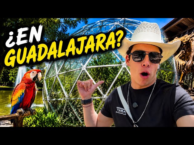 Is this the most beautiful park in Guadalajara? 🇲🇽