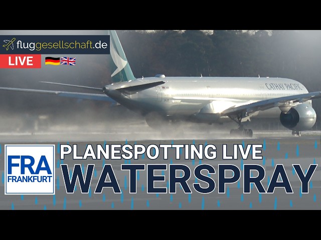 FRA LIVE 🇩🇪 Airport Frankfurt Planespotting | Dienstag Abend Rush mit Thomas