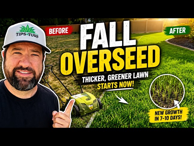 How To Do A Fall Overseed: Full Tutorial!
