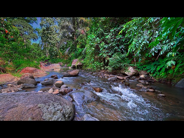 Experience Deep Nature Serenity with Soothing River Sounds and Serene Waterscapes!