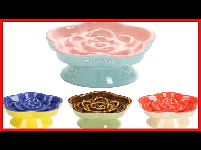 S&Q's CERAMICS Raised Slow Feeder Cat Bowl Stylish, Healthy, and Practical