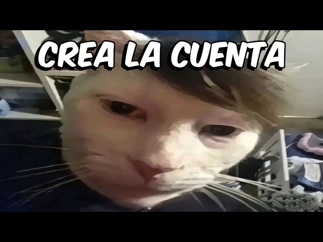 Shitposting Compilation V97