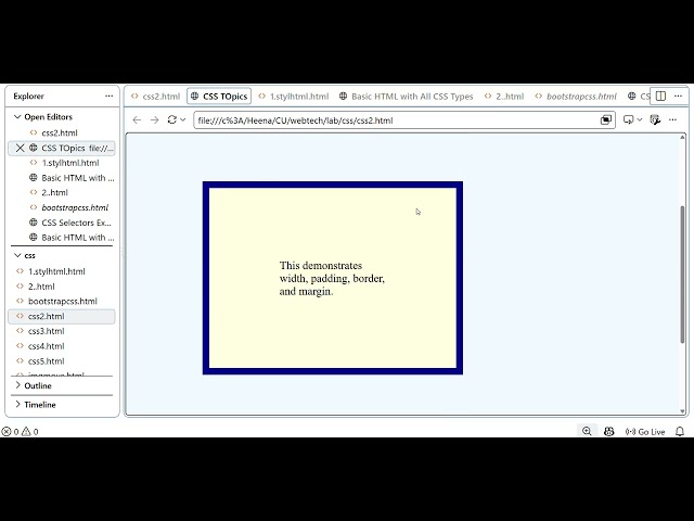 CSS Tutorial: Colors, Fonts, Box Model, Display & Positioning