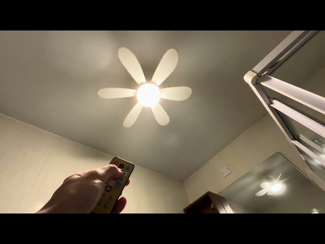 20.5" "Flower Fan Light" socket ceiling fan (all speeds, airflow test, spindown)