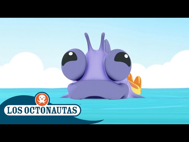 Los Octonautas - 🪸 El blenio dientes de peine 🐠 | Episodios Completos