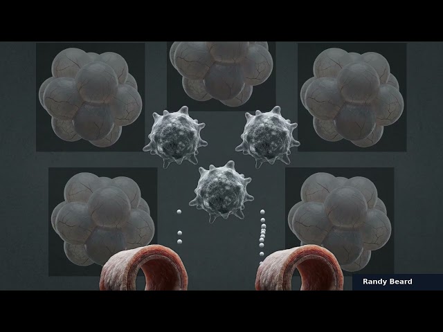 The Nano-Silica Deception — The Invisible Dust Your Mask Can't Stop