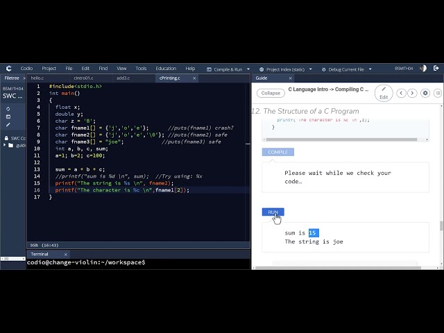 Print characters, ASCII values, octal and hex values, and strings