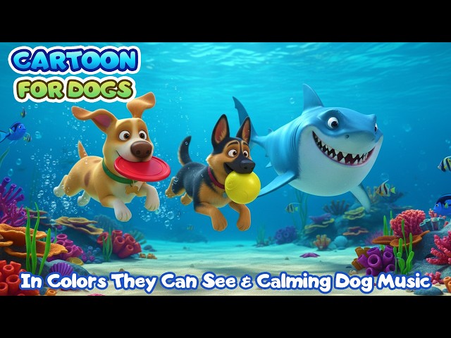 24 Hours Dog Cartoon 🌊🐶 in Colors Dogs Can See | Dog Funny Videos for Dogs Home Alone All Day