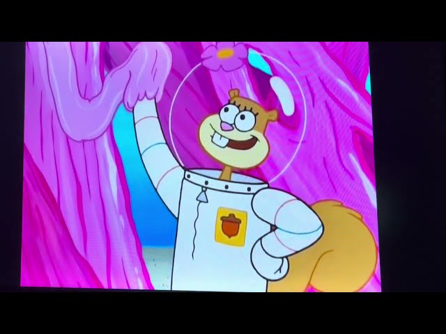 Opening to SpongeBob SquarePants fourth season disc 4