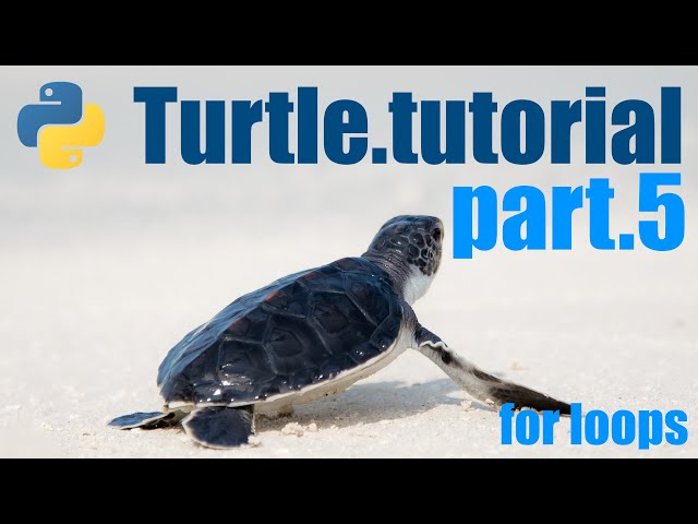 Python Turtle Tutorial - Lesson 5 - For loops