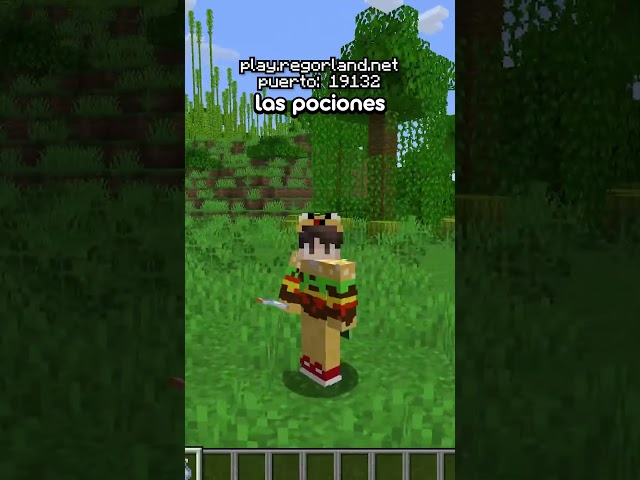 The locator bar on my Minecraft server!