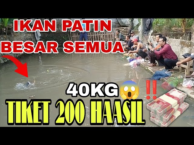 BORONG MANCING ‼️🔥Tiket Murah😱, Hasil Gila! Patin Monster Majalengka Semua Narik!" #mancingborongan