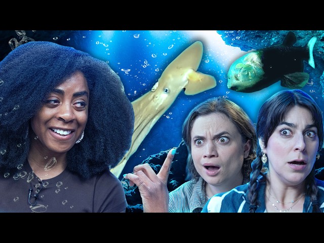 A Deep Sea Expert Shows Us Weird Creatures