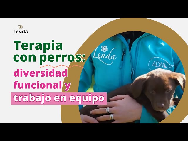 Terapia con perros: diversidad funcional y trabajo en equipo