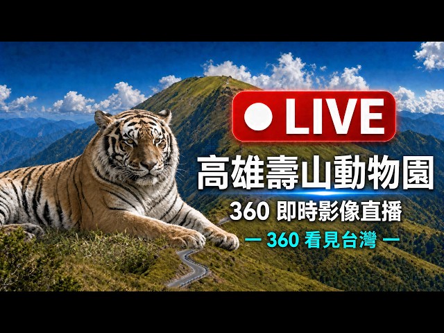 【360 4K Live】高雄 #壽山動物園 ＃小紅 #孟加拉虎 360 4K全景即時影像 #360看見台灣 #360看見高雄 #Formosa360 #rogy360taiwan