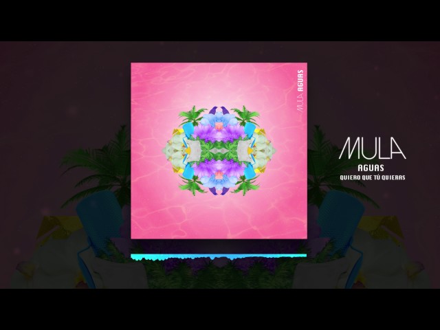 MULA - Quiero que tú quieras [Elite Temporada 4]