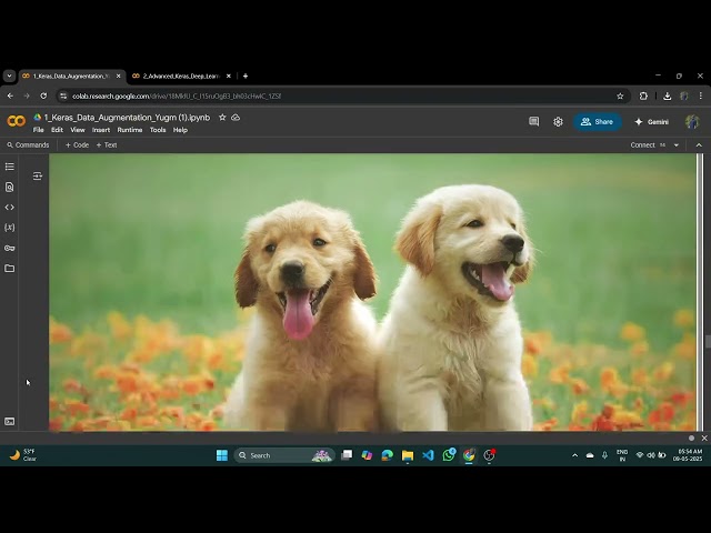 Advanced Neural Network Training with Keras