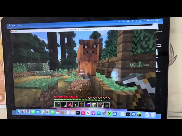 Minecraft Java, edition part two ￼