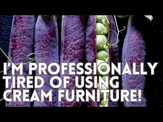 I'm Professionally Tired of Using Cream Furniture!