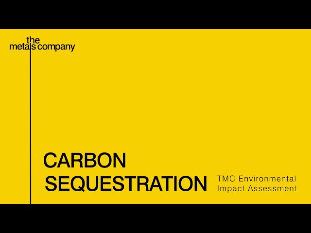 Carbon Sequestration - What does the data tell us?