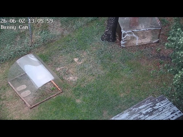 DrFox2000 - LIVE 24/7