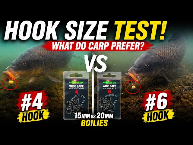 #4 vs #6 Hooks — What Do Carp Prefer?