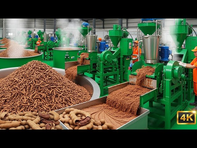 Tamarind Paste Production Process: Inside a High-Tech Food Factory | ASMR (4K)