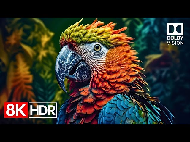 Unreal HDR Quality – 8K Dolby Vision Demo (4K / 8K TV) 60fps