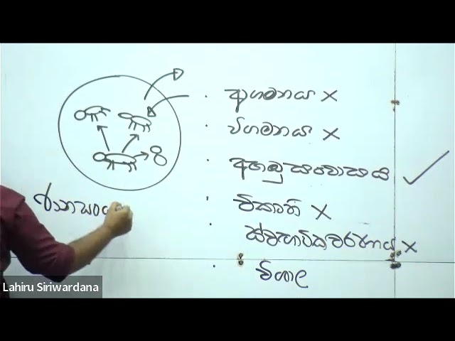Target paper  8 structure(2024)