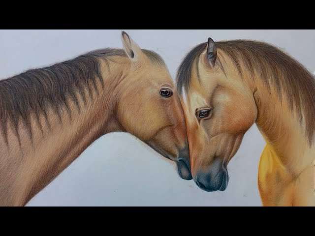 Drawing Two horses in love  👩‍❤️‍👨 | Part 1 |