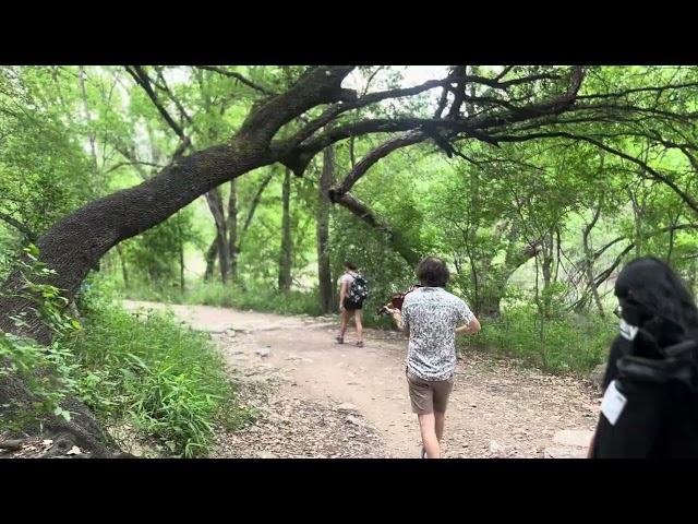 Strings in the Woods Behind the Scenes Music in Nature Violin Walk