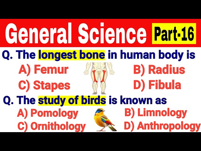 Top 40 General Science multiple choice question answer || Competitive exams || Let's Know Everything