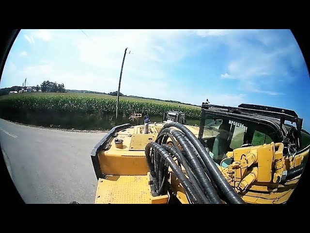 Eva | Blackey hit the road sign!!!