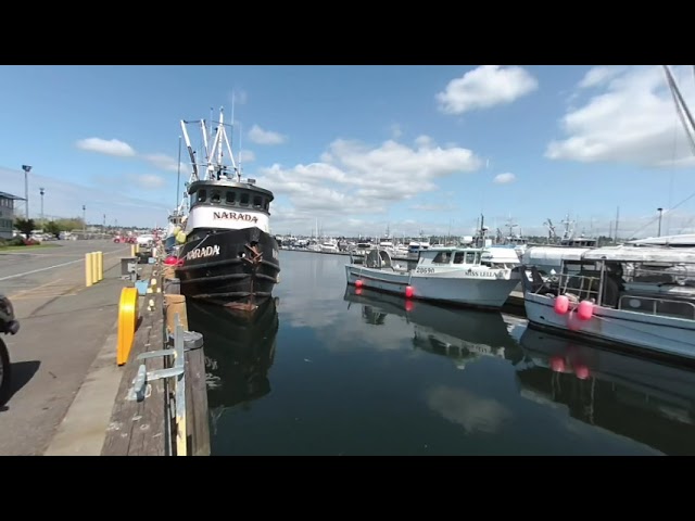 VR180 3D Fisherman's Terminal Seattle