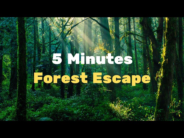 5-Min Mind Reset 🌲 Forest Soundscape & Soothing Music (Tingsha Bell Every 60s)
